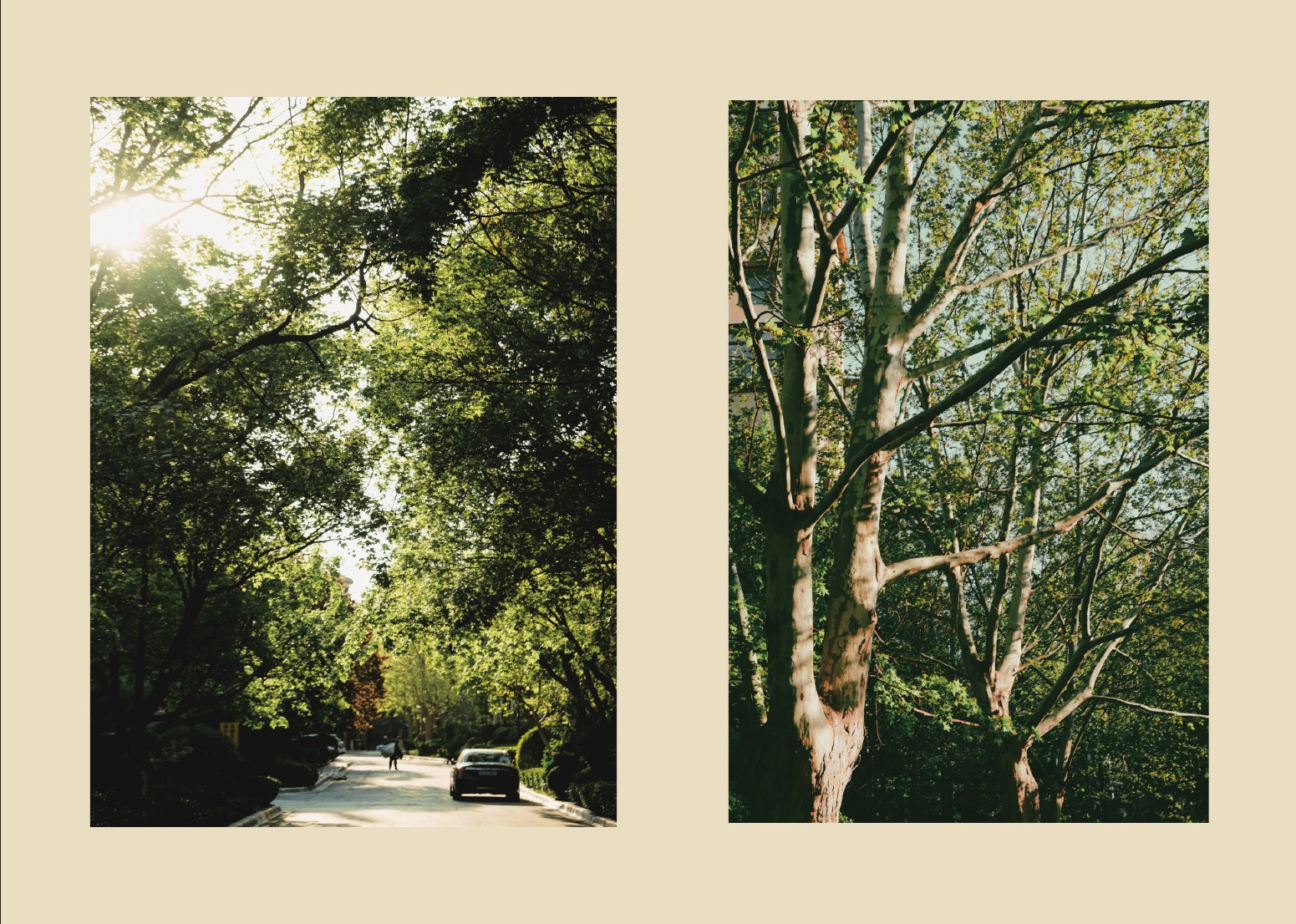 Photography portfolio page 31