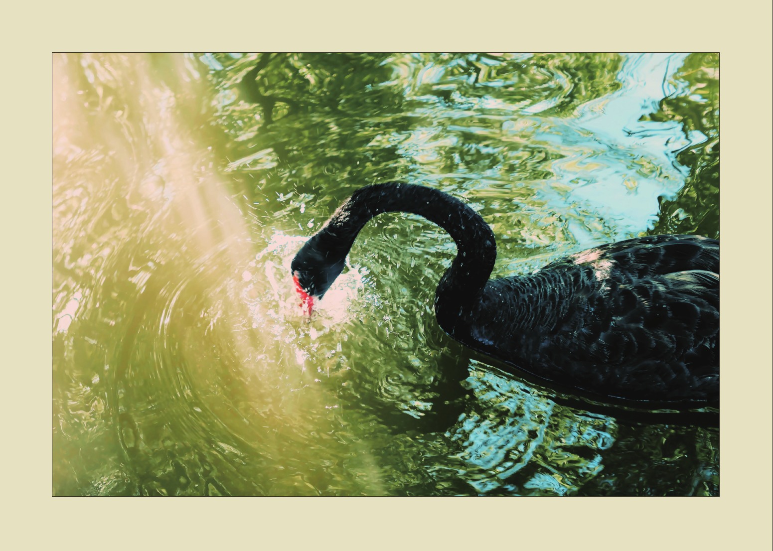 Photography portfolio page 34