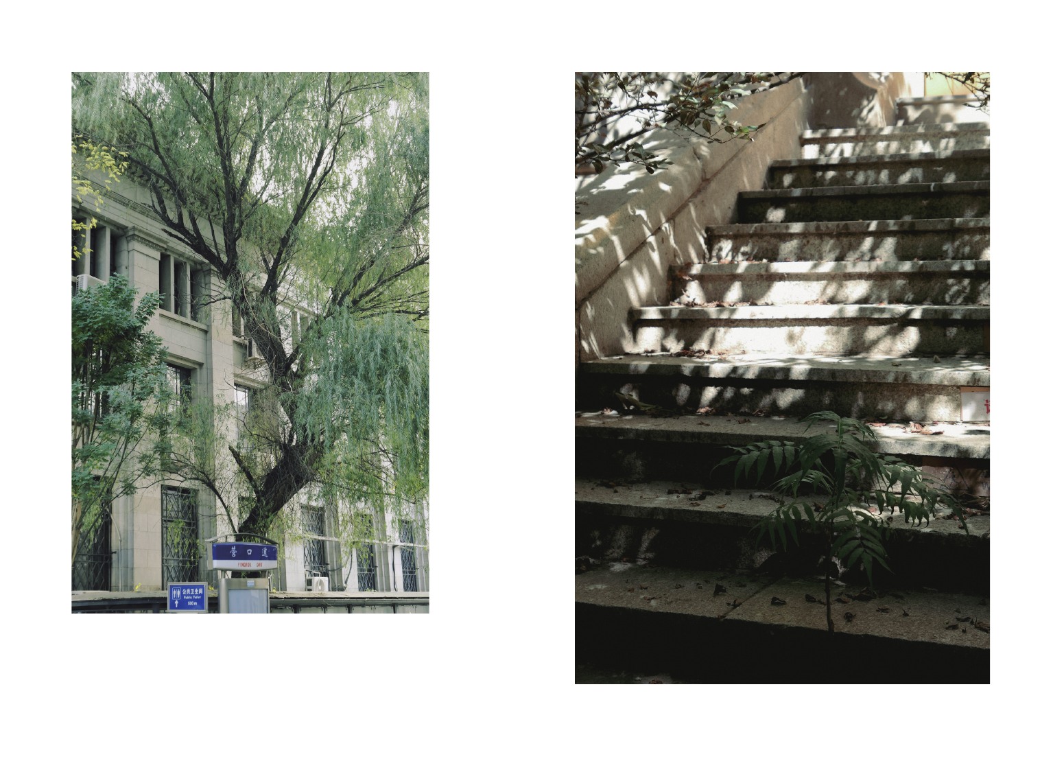 Photography portfolio page 46