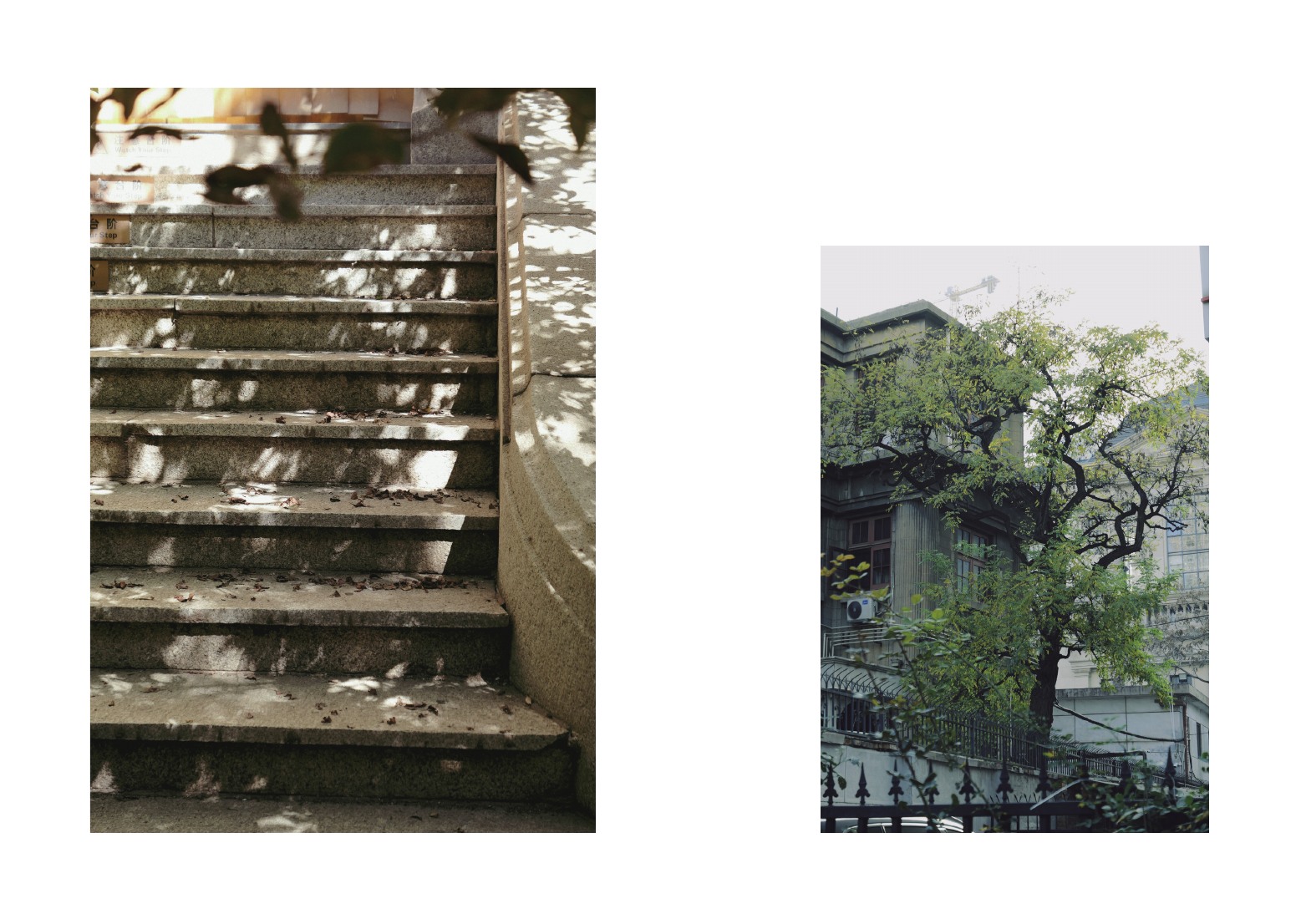 Photography portfolio page 47