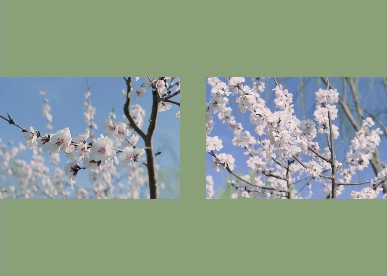 Photography portfolio page 57