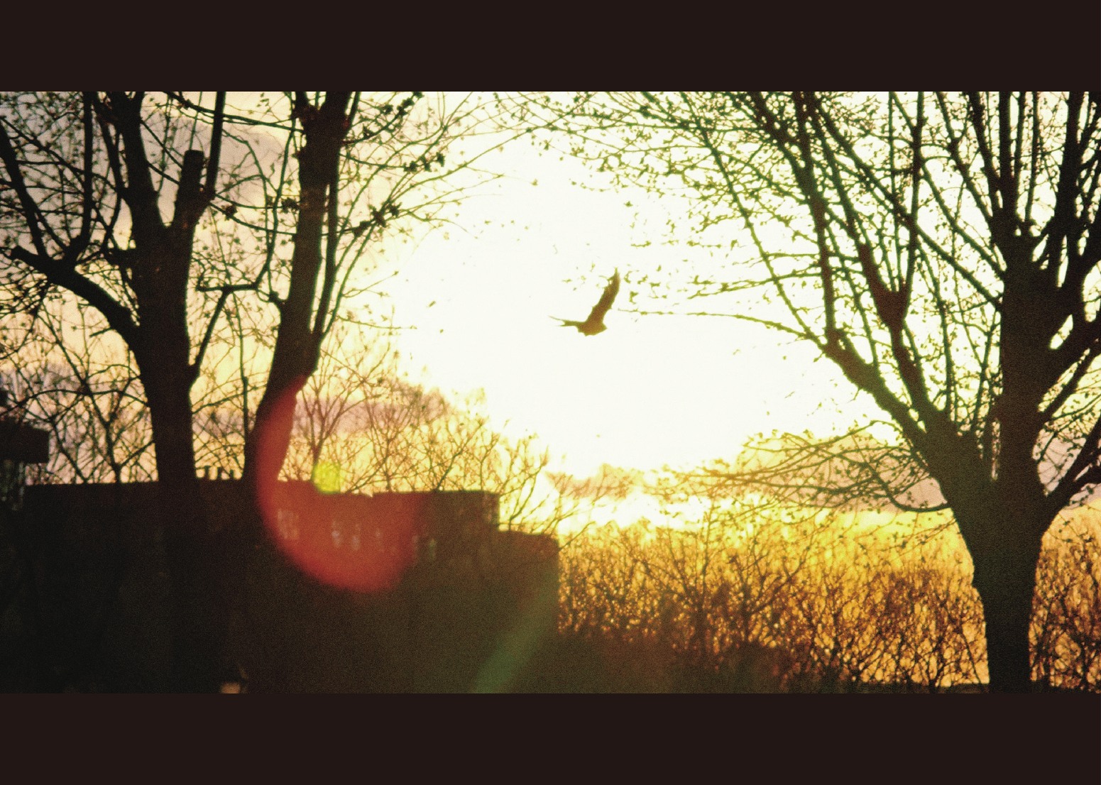 Photography portfolio page 66