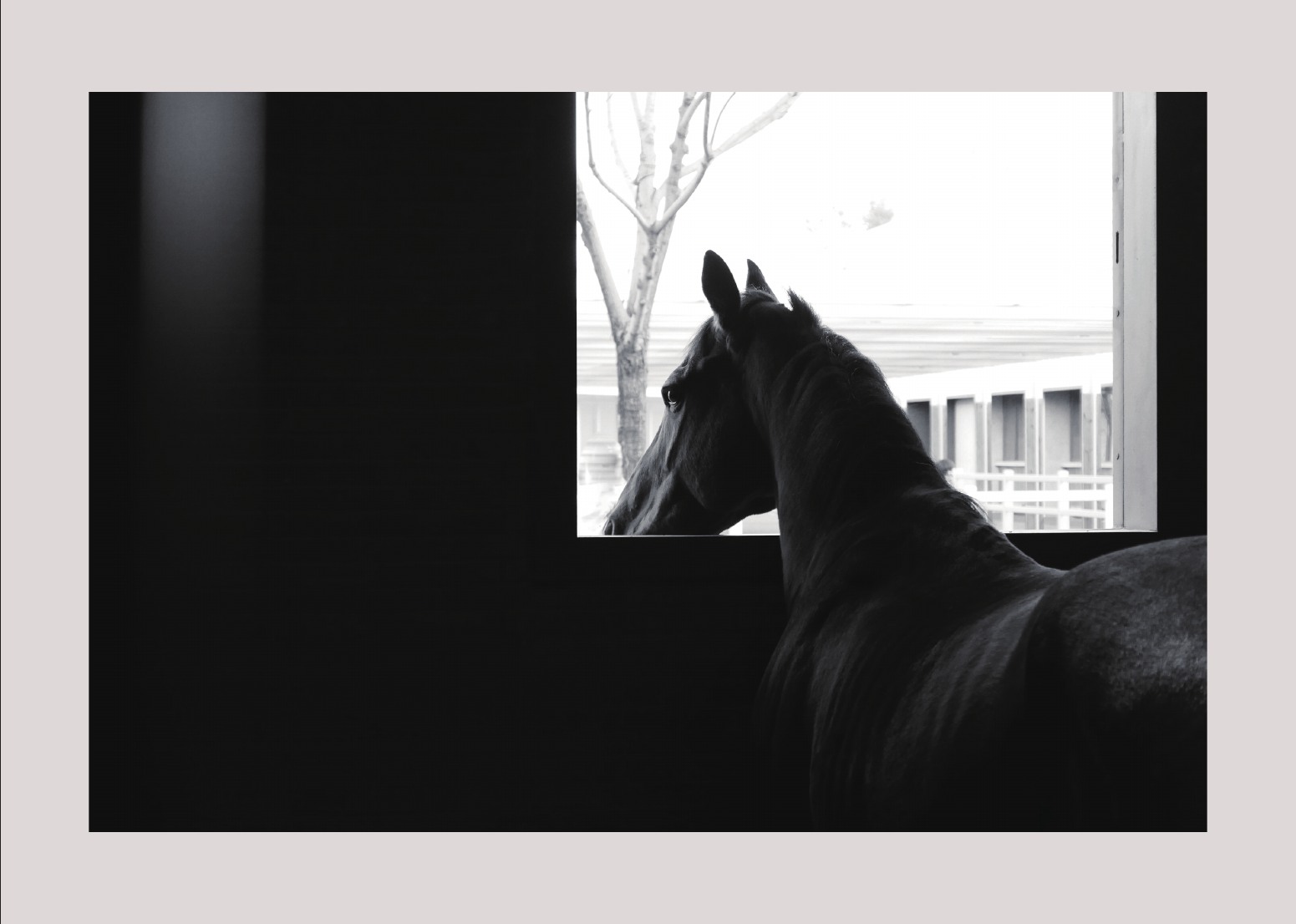Photography portfolio page 91